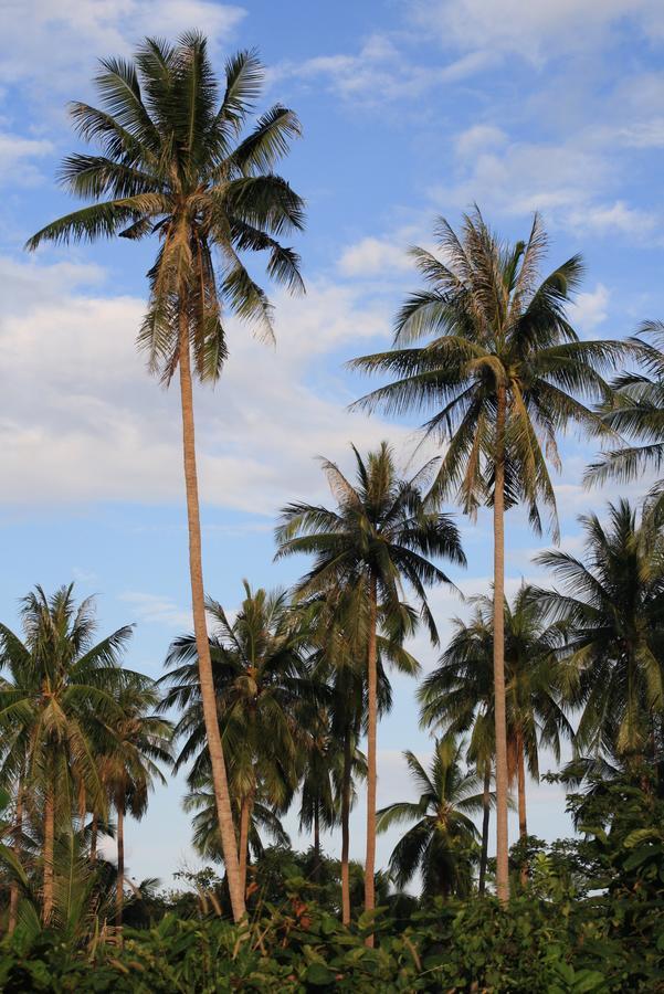 Samui Le Reve Otel Na Mueang Dış mekan fotoğraf