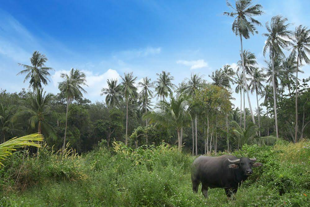 Samui Le Reve Otel Na Mueang Dış mekan fotoğraf