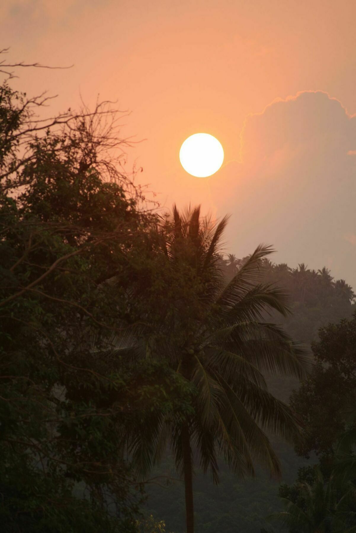 Samui Le Reve Otel Na Mueang Dış mekan fotoğraf